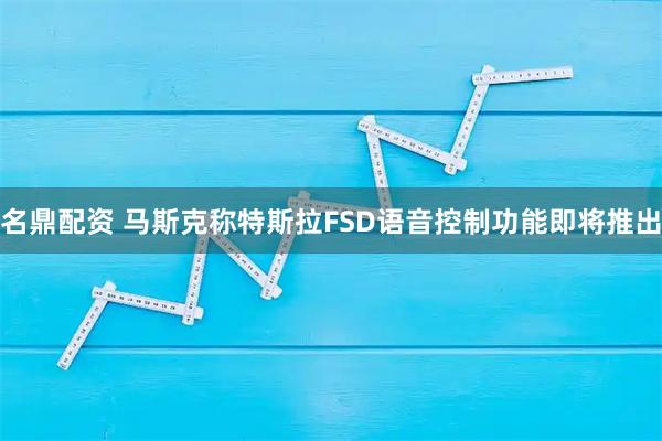 名鼎配资 马斯克称特斯拉FSD语音控制功能即将推出