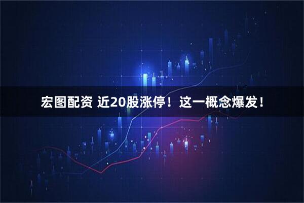 宏图配资 近20股涨停！这一概念爆发！
