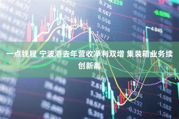一点钱程 宁波港去年营收净利双增 集装箱业务续创新高