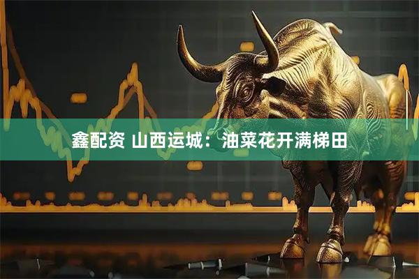 鑫配资 山西运城：油菜花开满梯田
