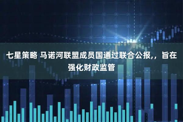七星策略 马诺河联盟成员国通过联合公报,，旨在强化财政监管