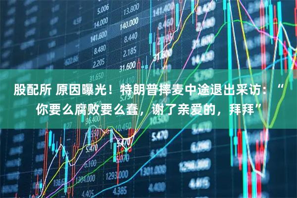 股配所 原因曝光!特朗普摔麦中途退出采访:“你要么腐败要么蠢,谢了亲爱的,拜拜”