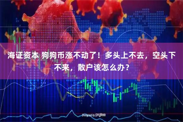 海证资本 狗狗币涨不动了!多头上不去,空头下不来,散户该怎么办?