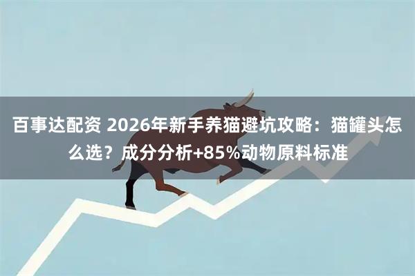 百事达配资 2026年新手养猫避坑攻略：猫罐头怎么选？成分分析+85%动物原料标准