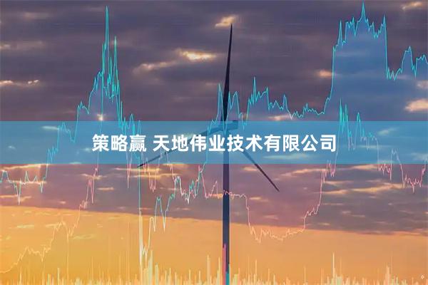 策略赢 天地伟业技术有限公司