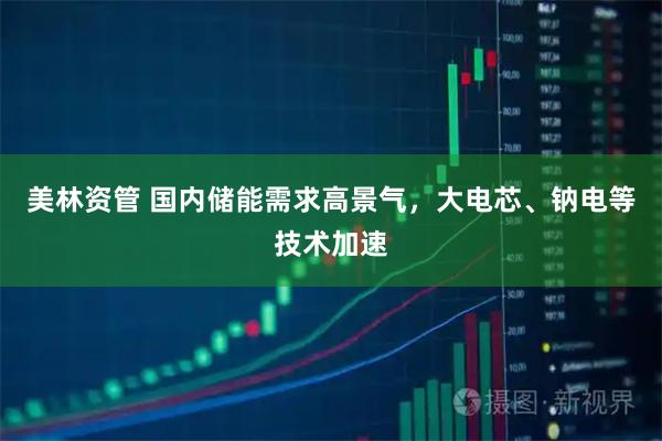 美林资管 国内储能需求高景气，大电芯、钠电等技术加速