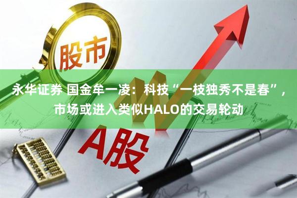 永华证券 国金牟一凌：科技“一枝独秀不是春”，市场或进入类似HALO的交易轮动