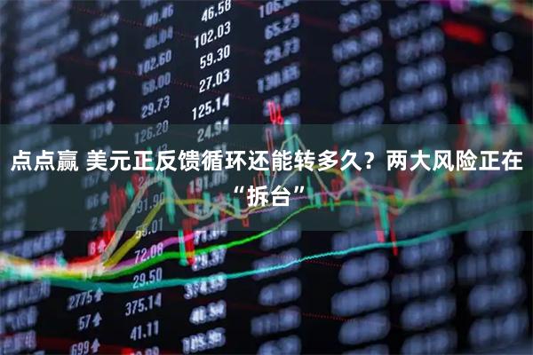 点点赢 美元正反馈循环还能转多久？两大风险正在“拆台”