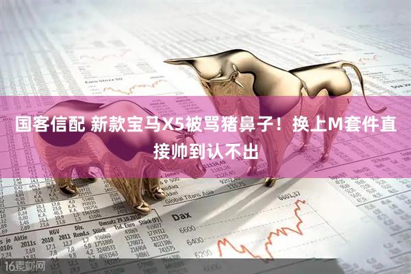 国客信配 新款宝马X5被骂猪鼻子！换上M套件直接帅到认不出